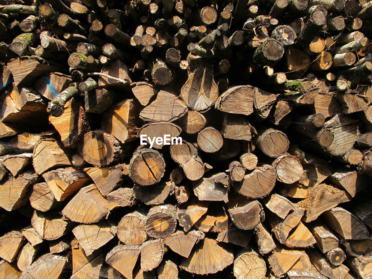 FULL FRAME SHOT OF LOGS