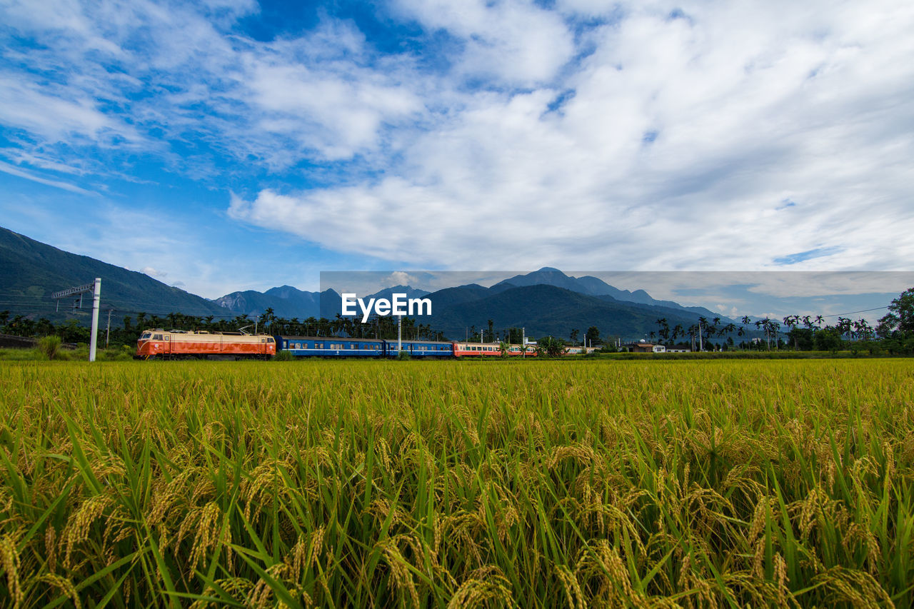 Distance shot of train along the fields