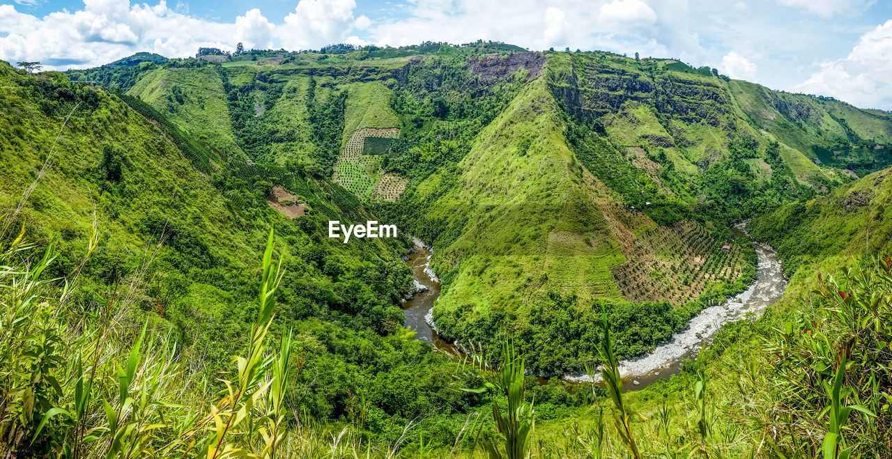 Scenic view of green landscape against sky