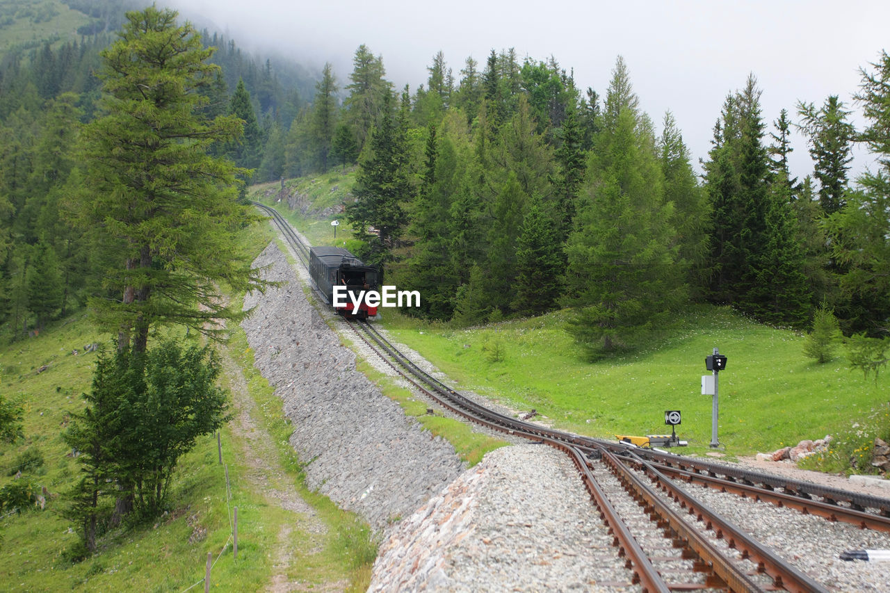 Steam train on railroad track amidst trees on hill