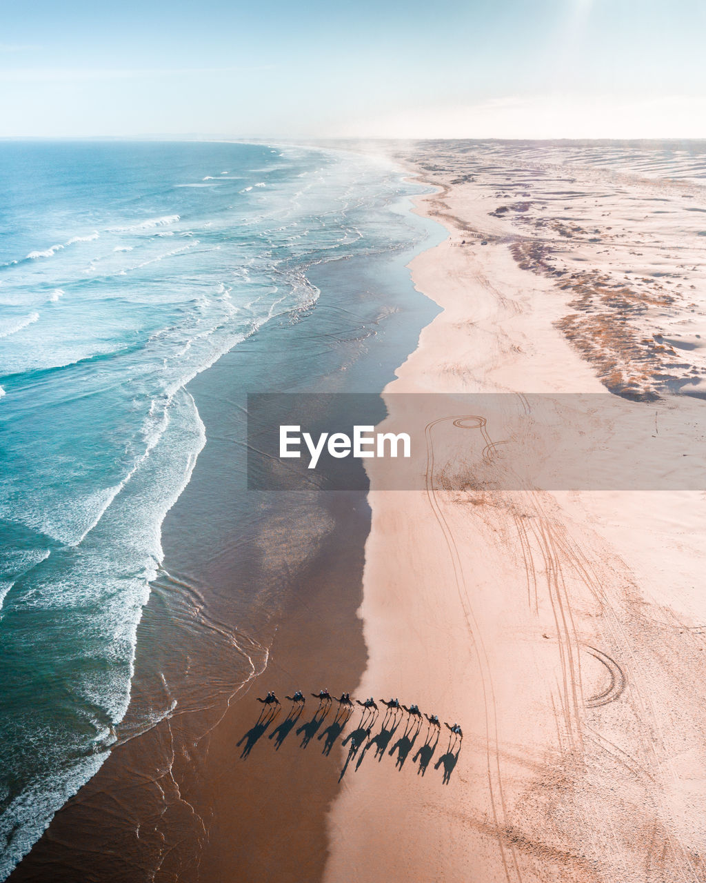 Aerial view of camel train on shore at beach