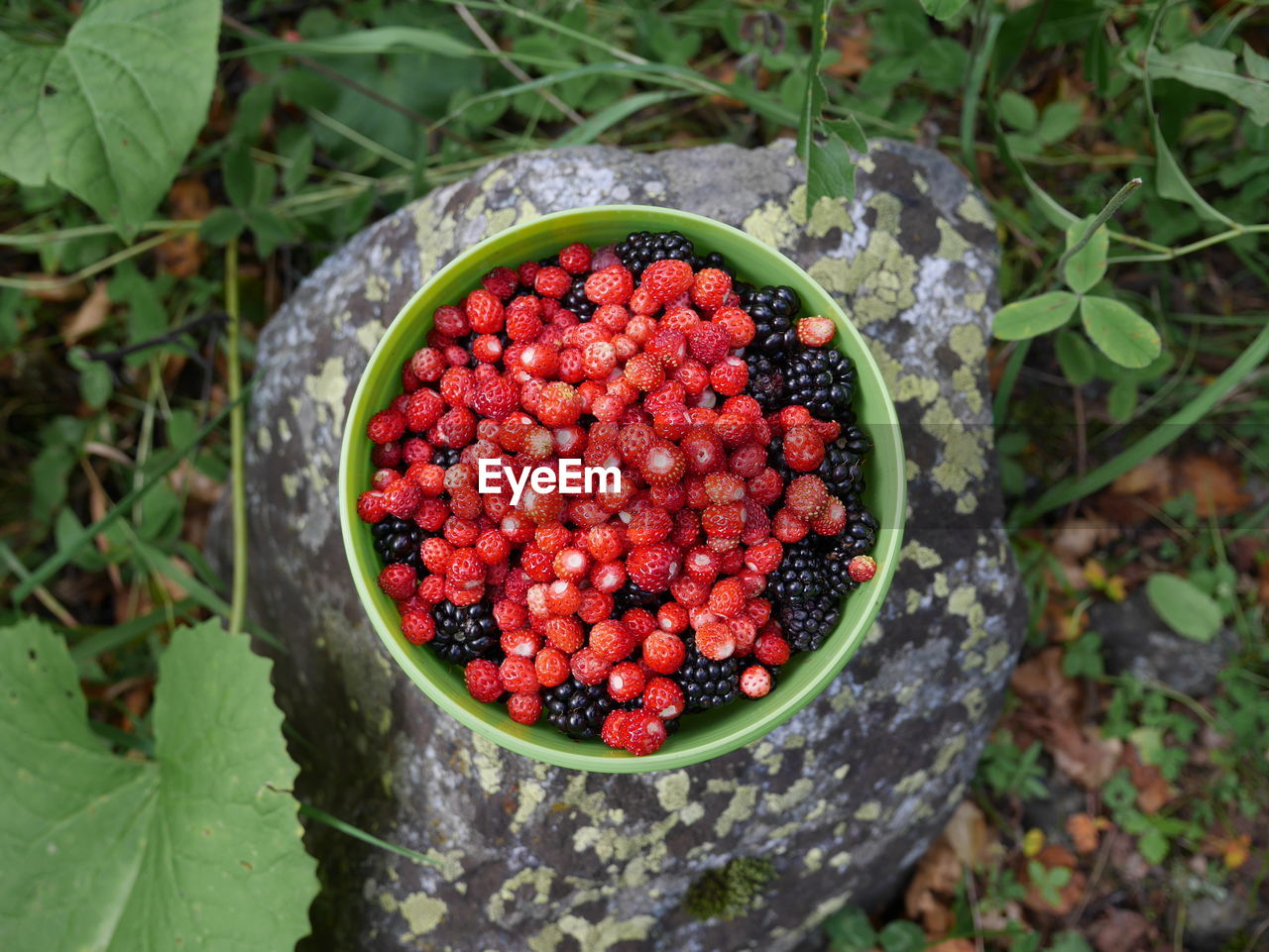 High angle view of berry fruits in bowl on rock