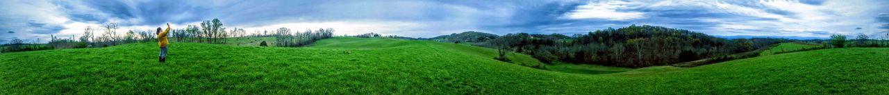 TREES ON LANDSCAPE AGAINST CLOUDY SKY