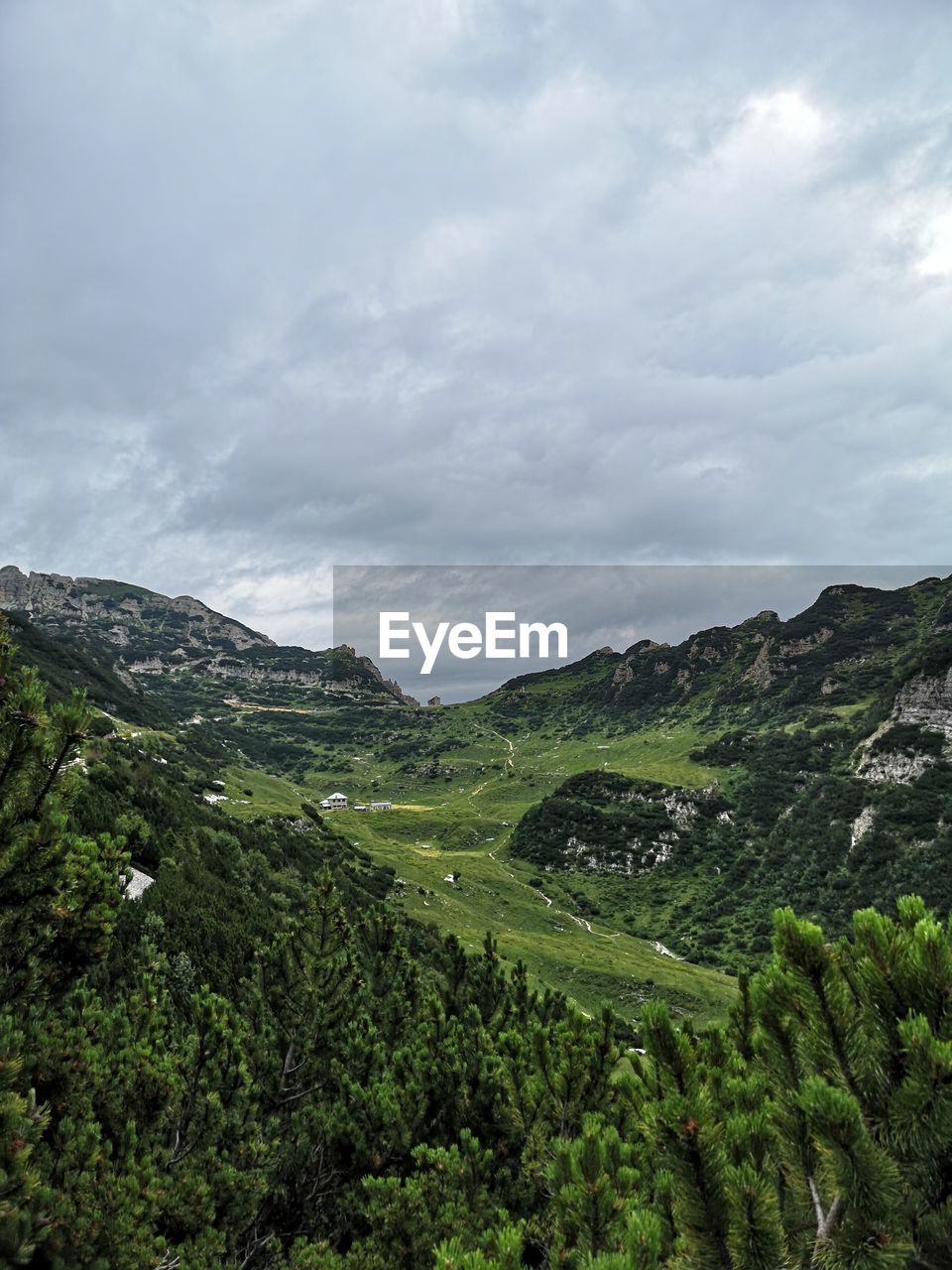 SCENIC VIEW OF GREEN LANDSCAPE AGAINST SKY