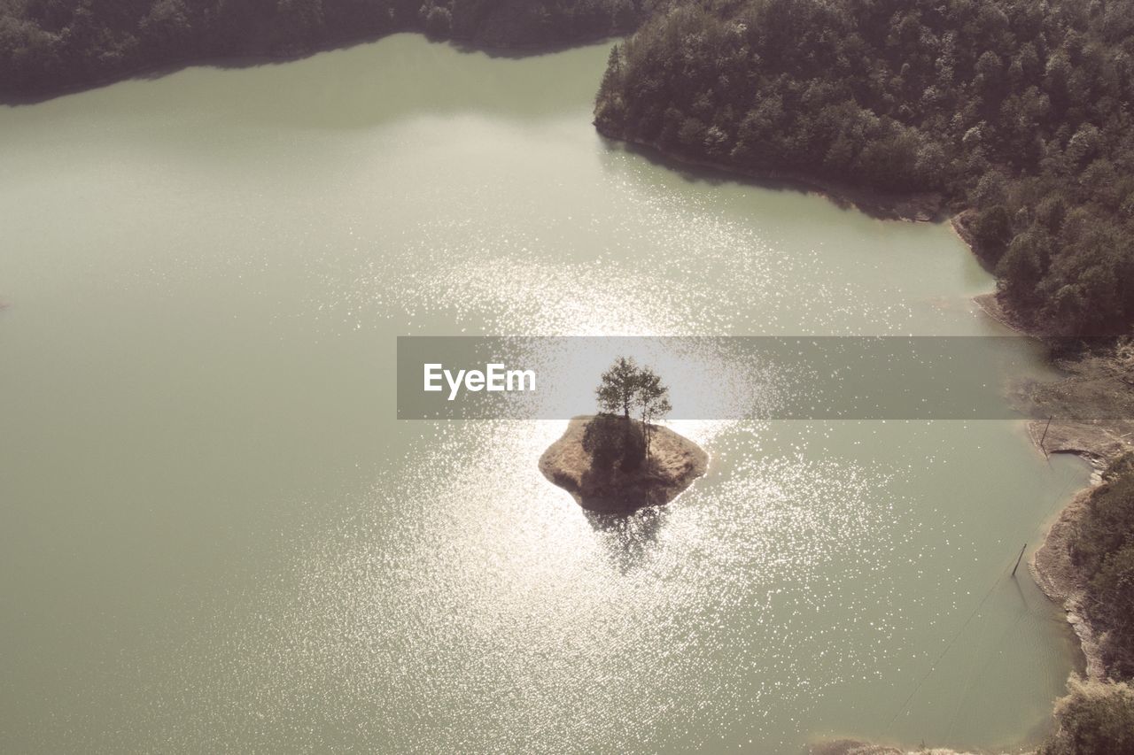 HIGH ANGLE VIEW OF TURTLE IN SEA