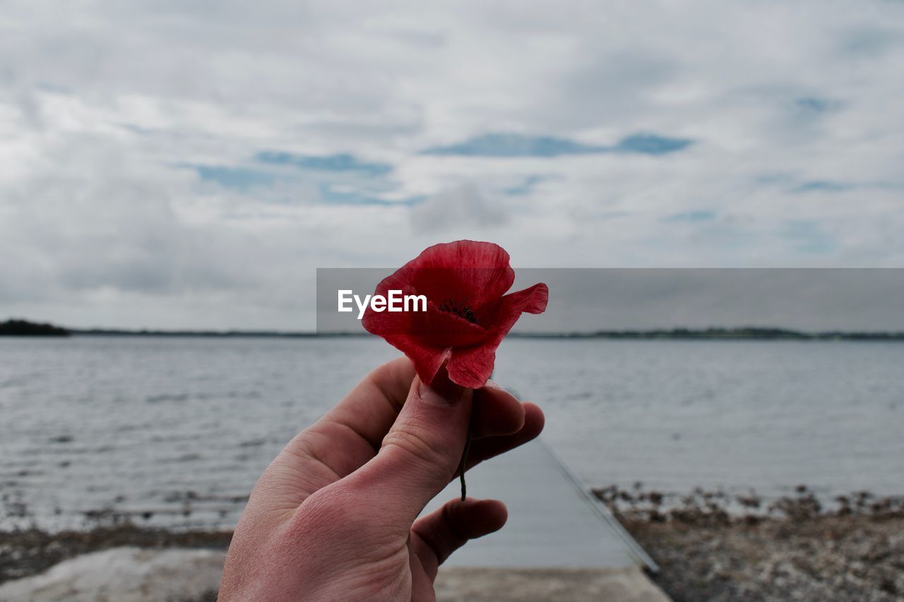 Close-up of hand holding red flower against sea