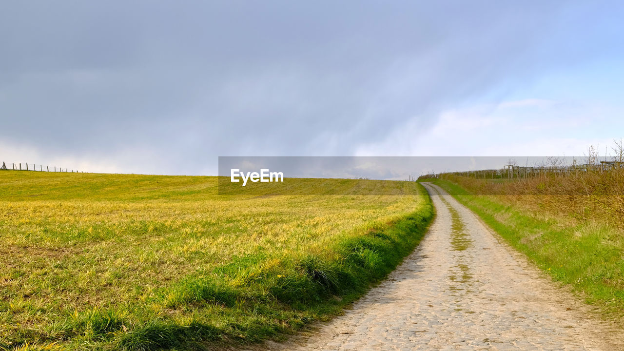 ROAD PASSING THROUGH FIELD