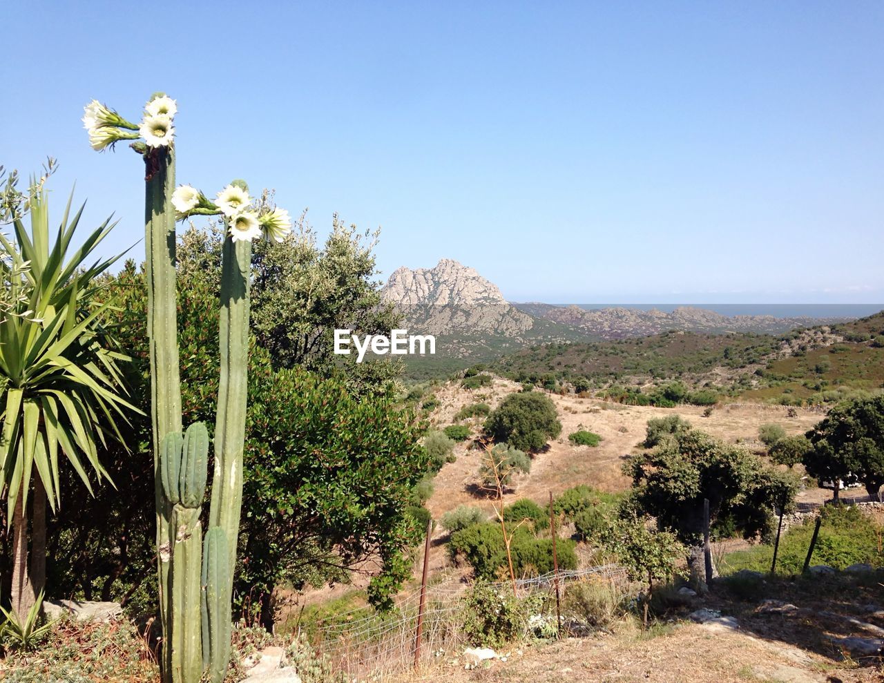 SCENIC VIEW OF MOUNTAINS AGAINST CLEAR SKY