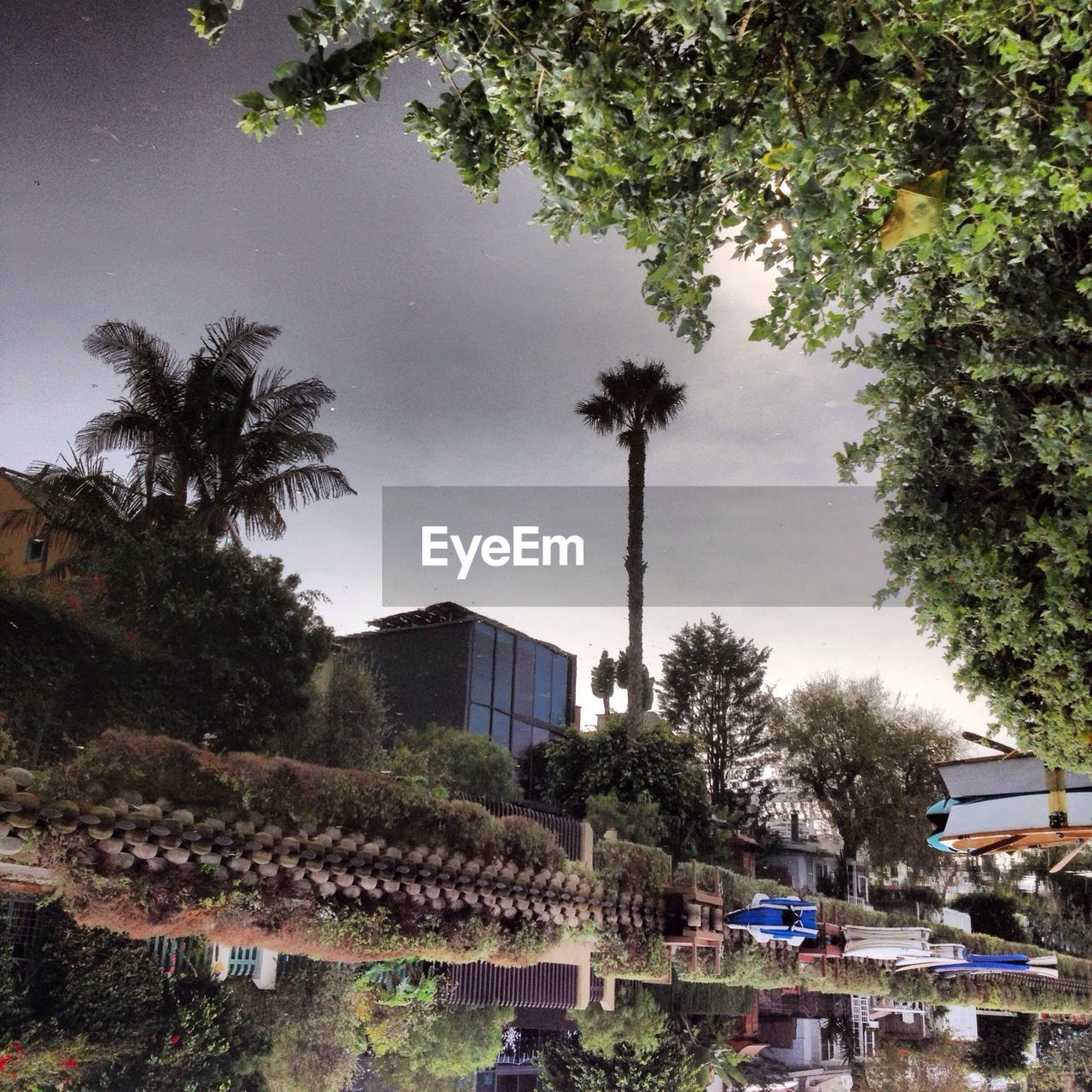 Reflection of a city with palm trees in a puddle