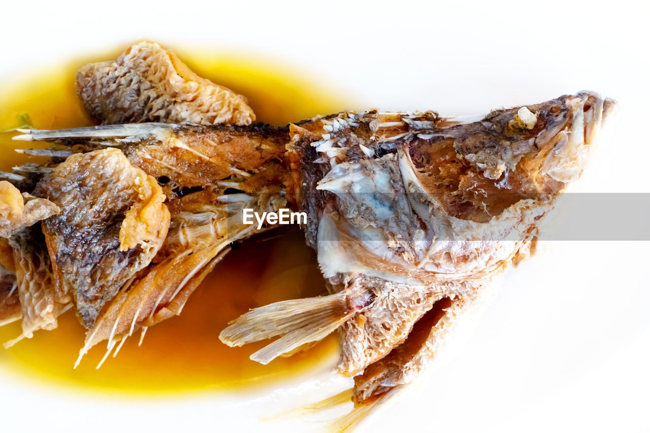 CLOSE-UP OF DEAD FISH ON PLATE