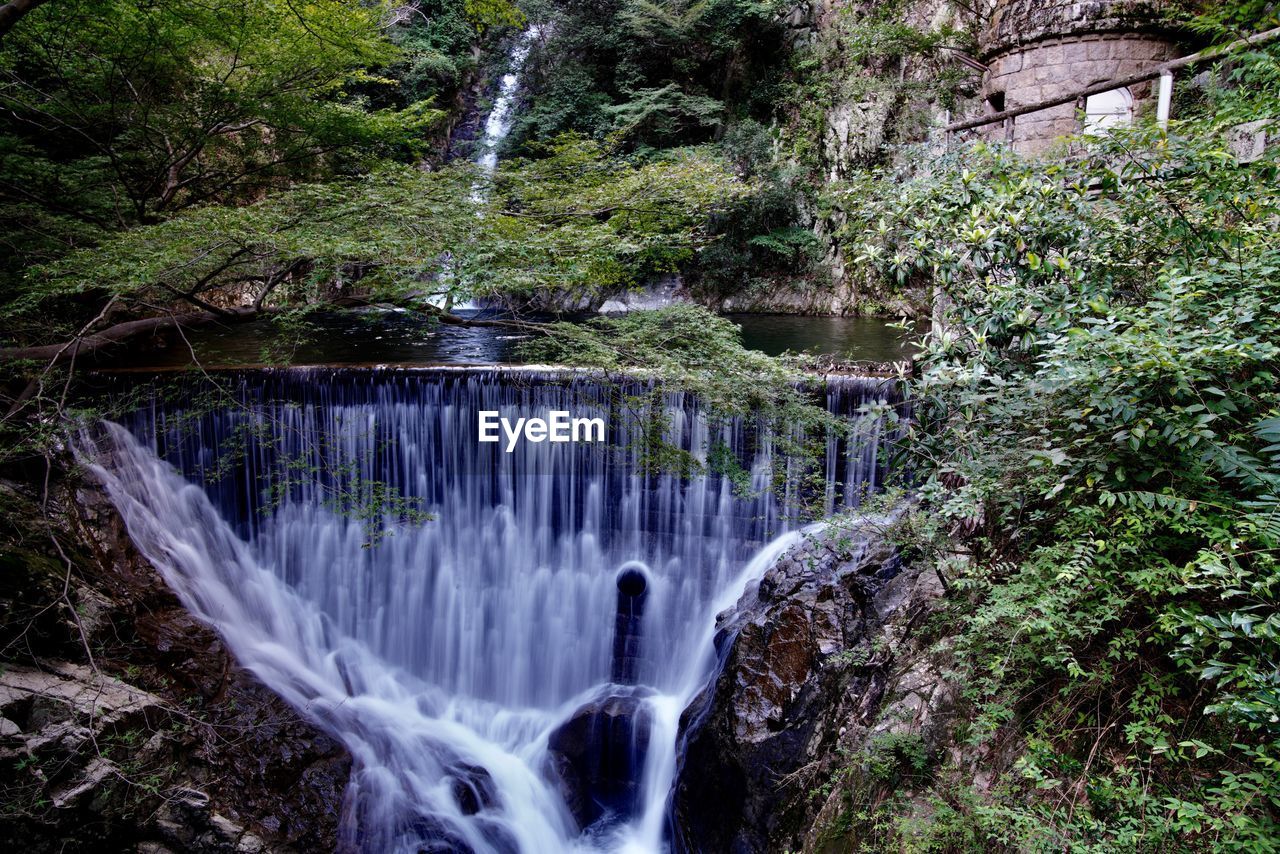 Scenic view of waterfall in forest