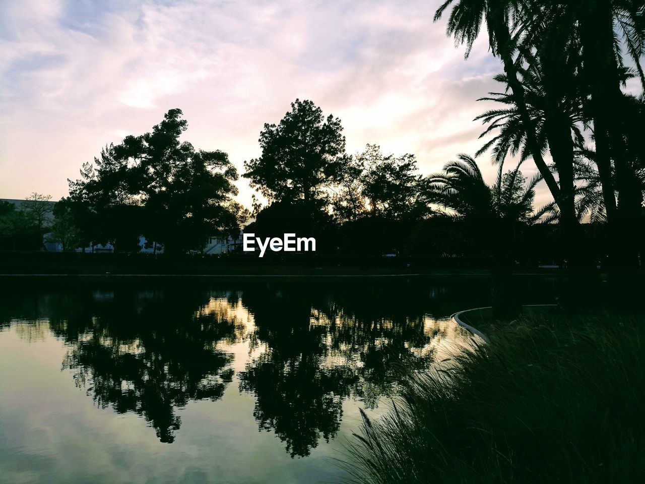 REFLECTION OF TREES IN LAKE AGAINST SKY