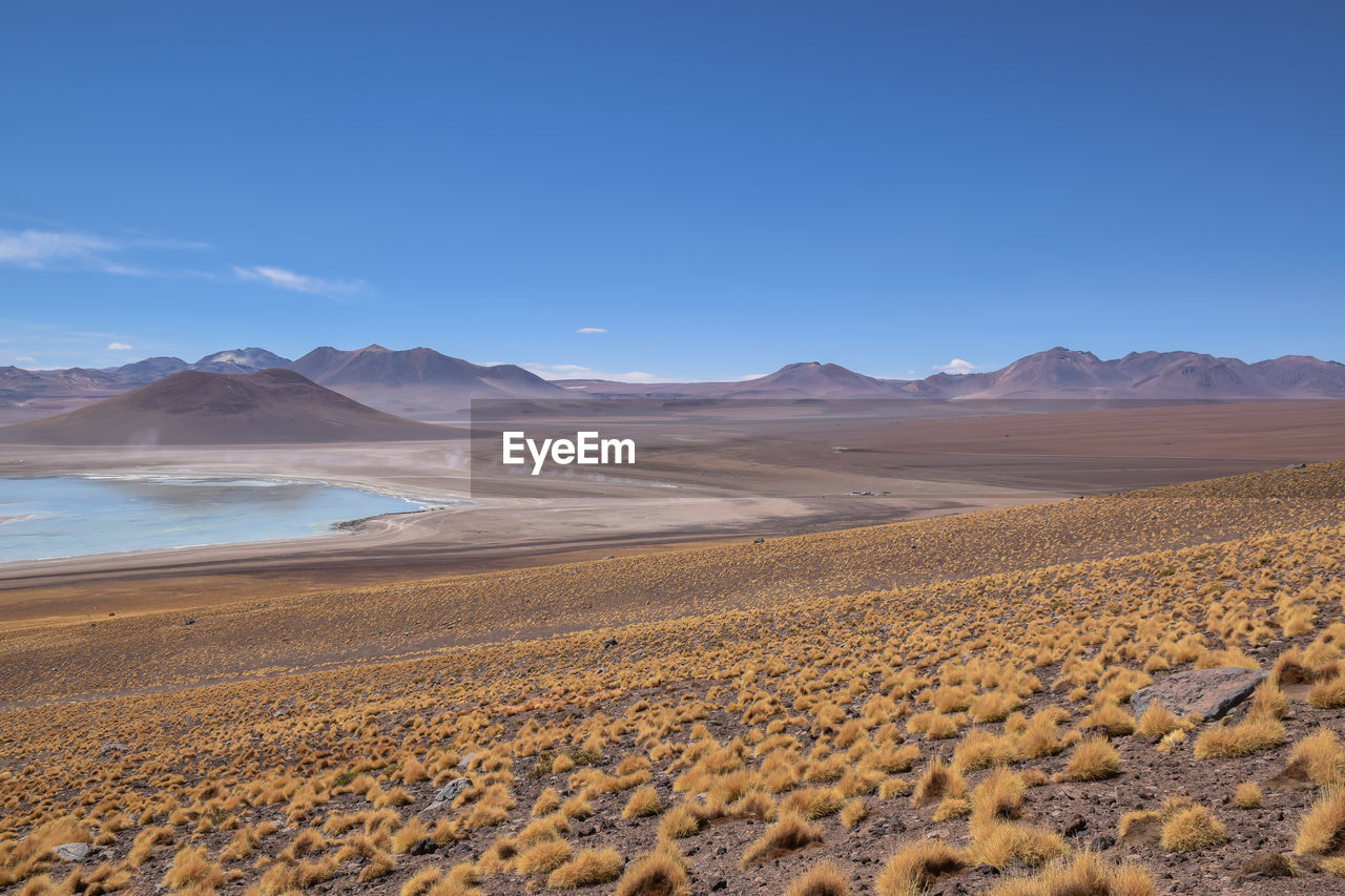 Scenic view of desert against blue sky