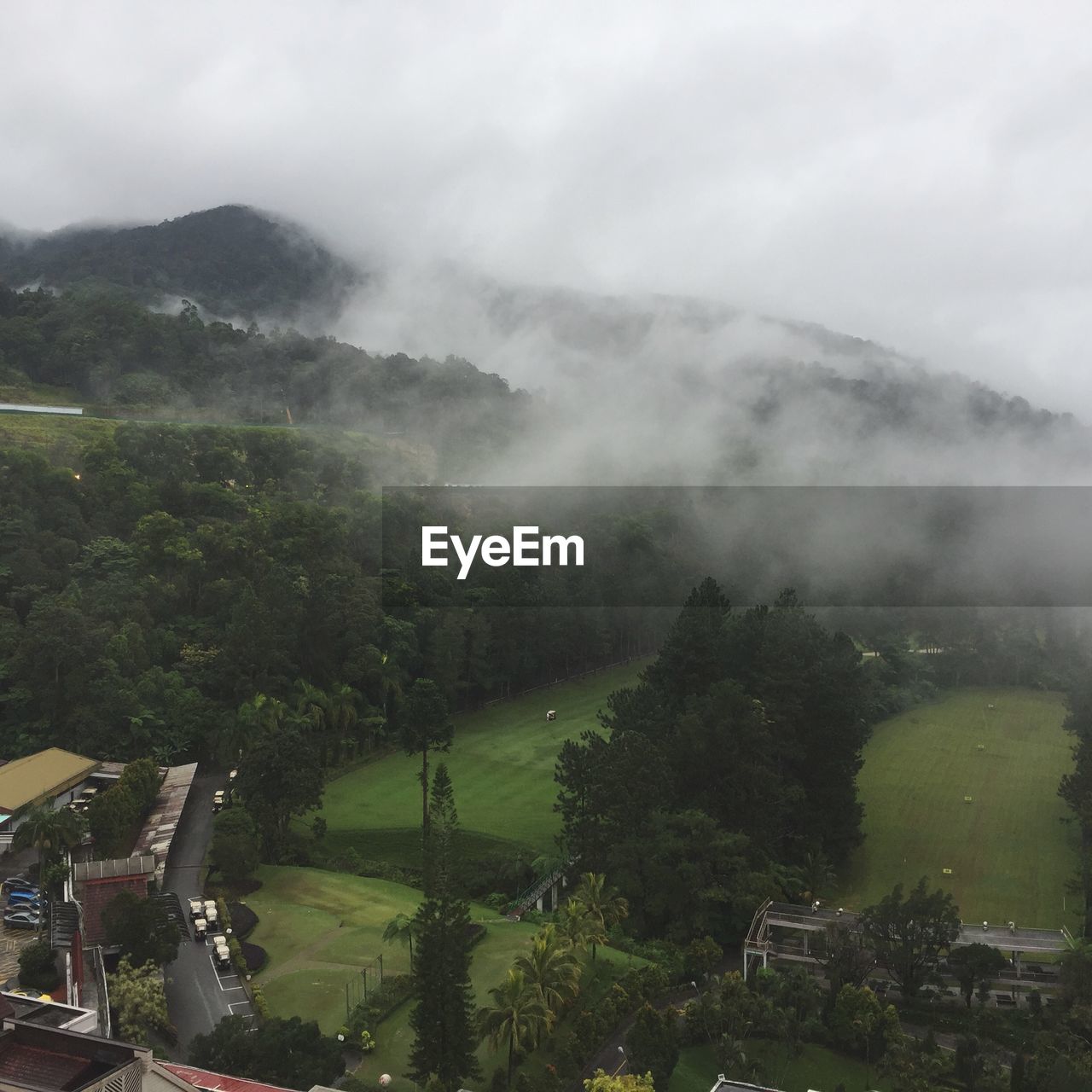 HIGH ANGLE VIEW OF TREES AGAINST SKY