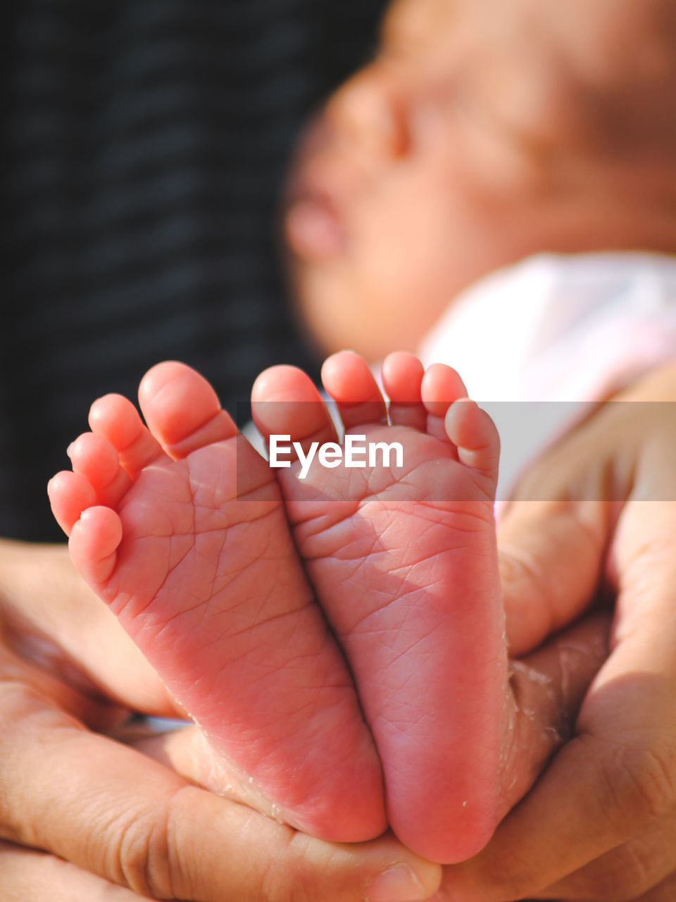 CLOSE-UP OF BABY HAND HOLDING FLOWER