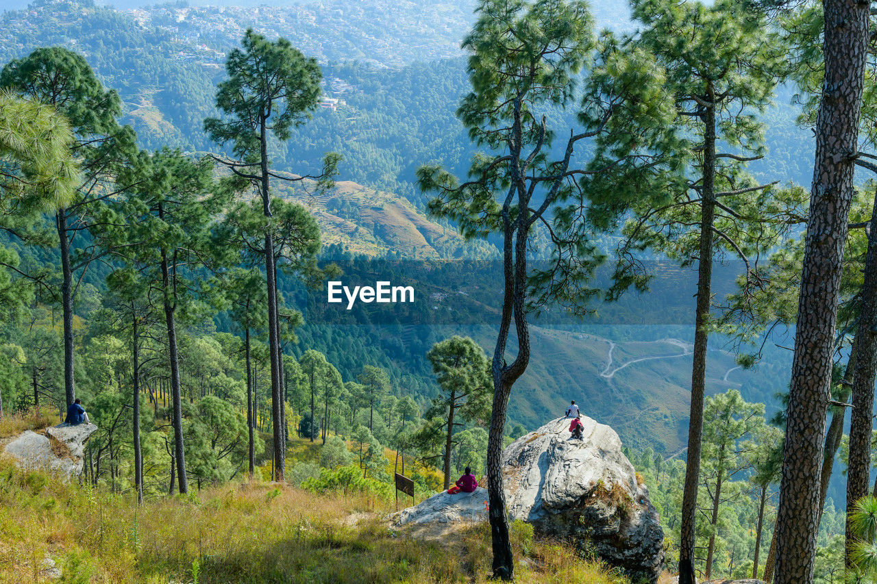 tree, plant, wilderness, land, nature, beauty in nature, forest, growth, scenics - nature, mountain, green, environment, trail, day, men, ridge, leisure activity, landscape, tranquility, tranquil scene, non-urban scene, adventure, natural environment, outdoors, activity, lifestyles, hiking, walking, animal, mountain range, travel, adult, woodland, group of people, animal themes