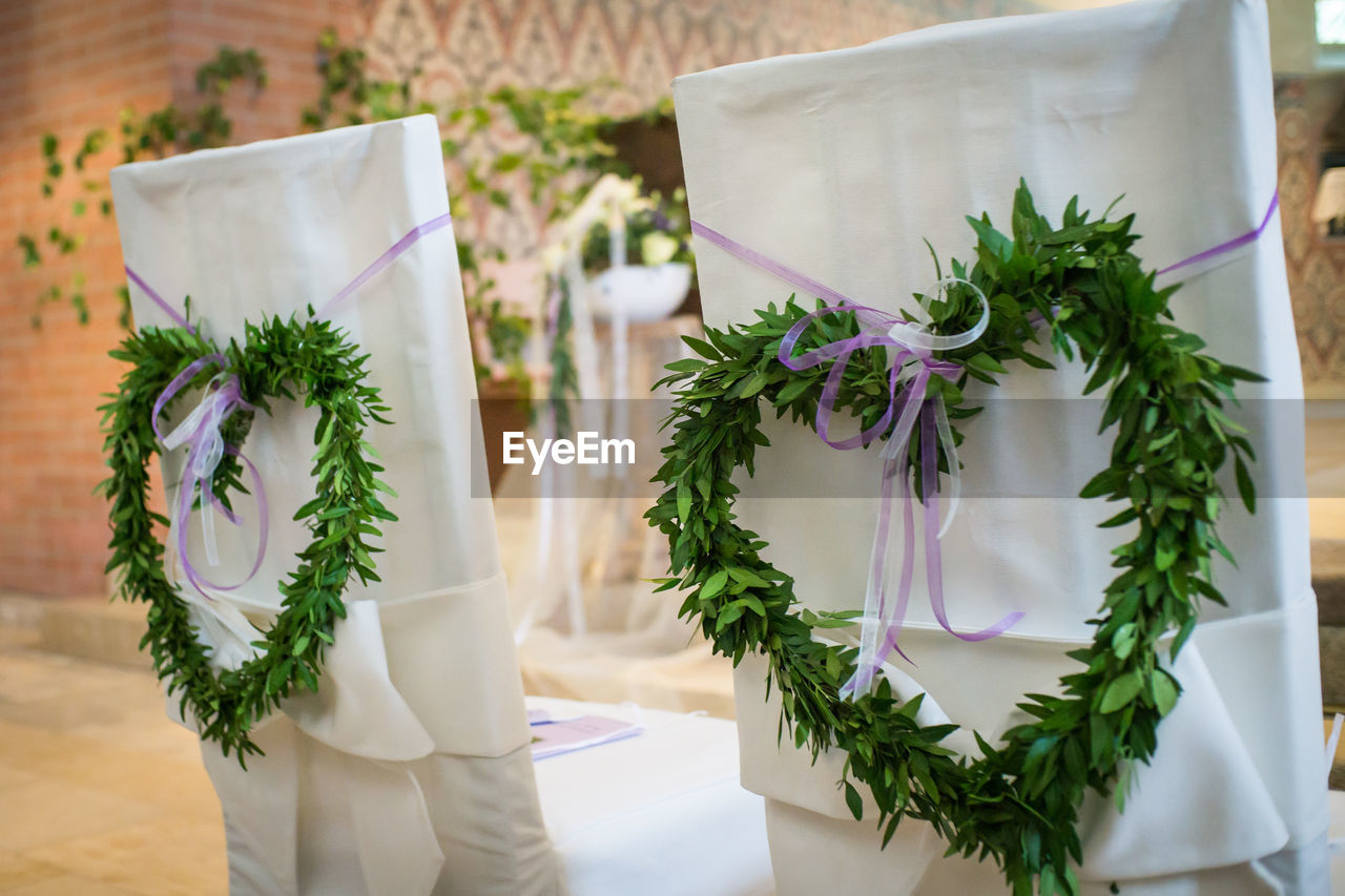 POTTED PLANTS ON TABLE