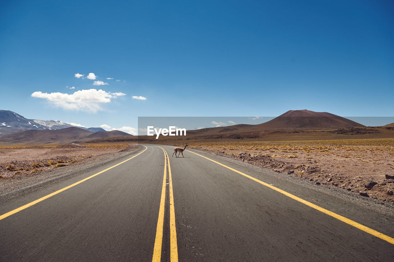 Scenic view of mountains in desert with country road against clear sky