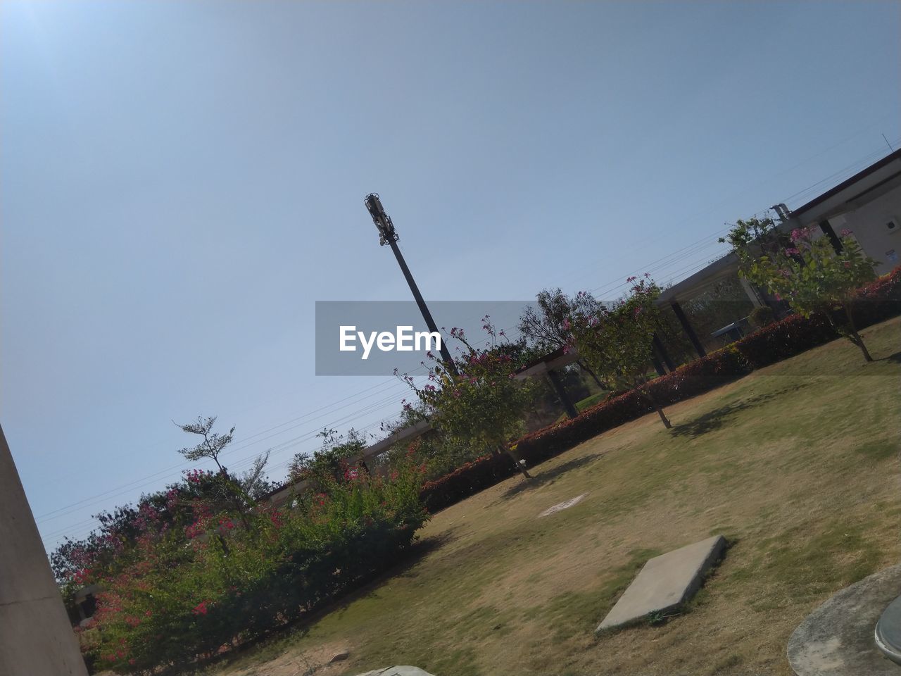 sky, architecture, nature, built structure, plant, day, clear sky, no people, building exterior, tilt, outdoors, tree, low angle view