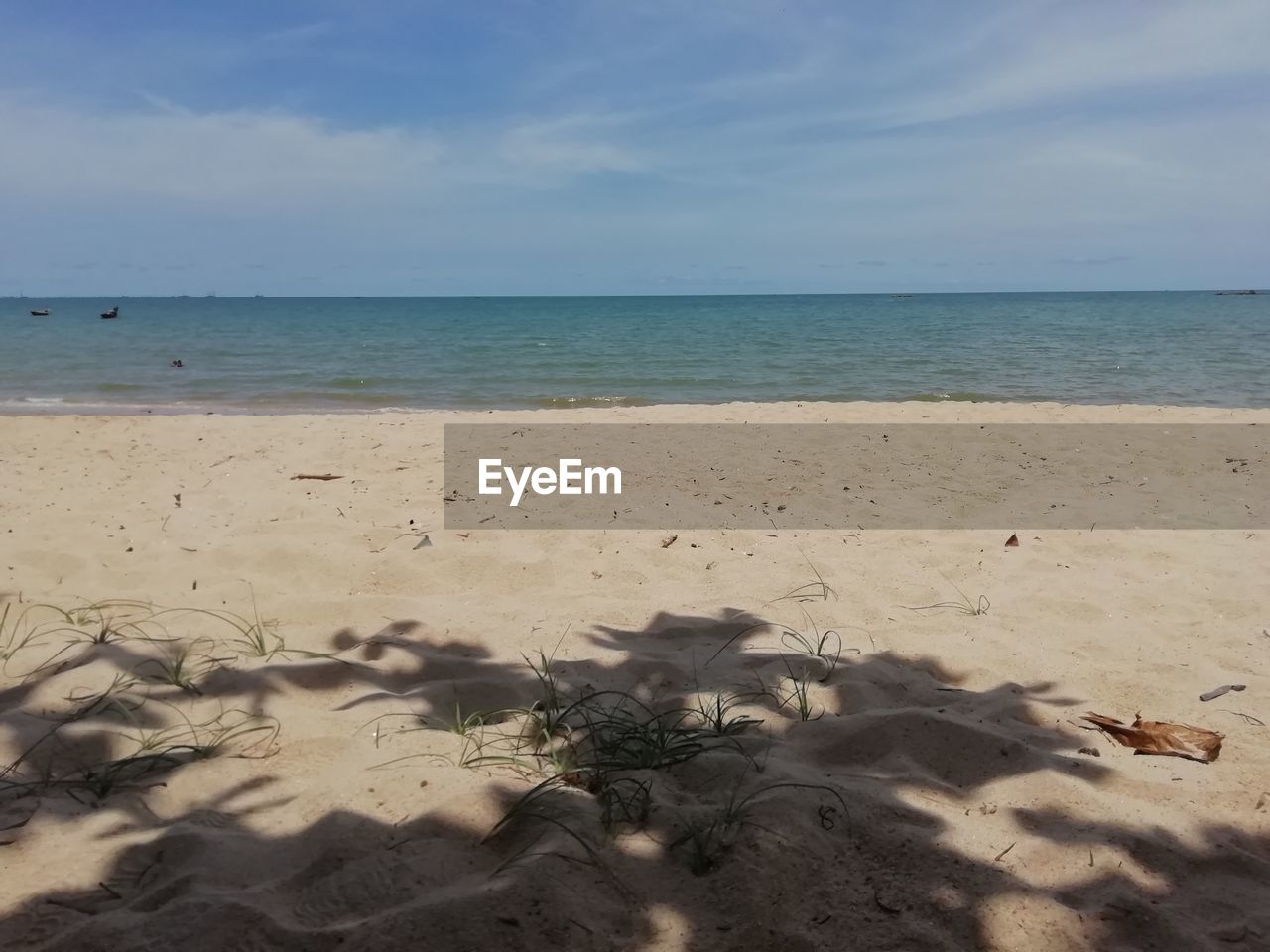 SCENIC VIEW OF SANDY BEACH AGAINST SKY