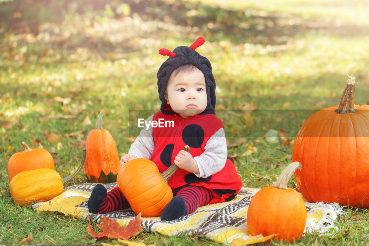 Full length of cute baby girl sitting by pumpkins on grassy land during halloween