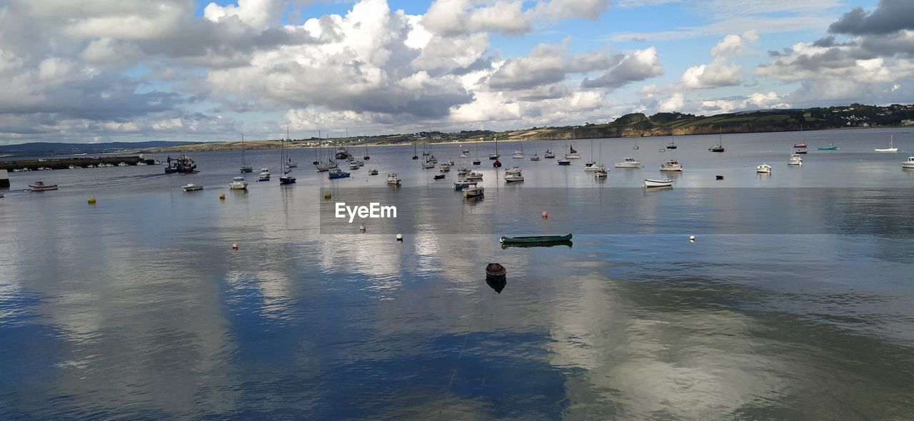 FLOCK OF BIRDS ON SEA