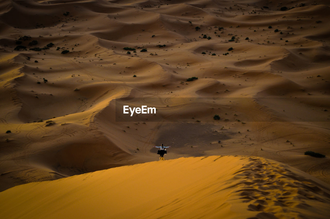 Scenic view of sand dunes in desert