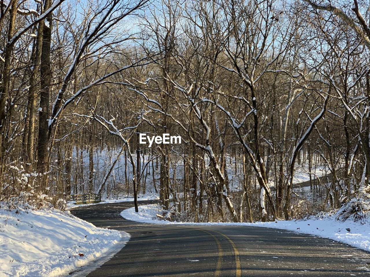 Road amidst bare trees during winter