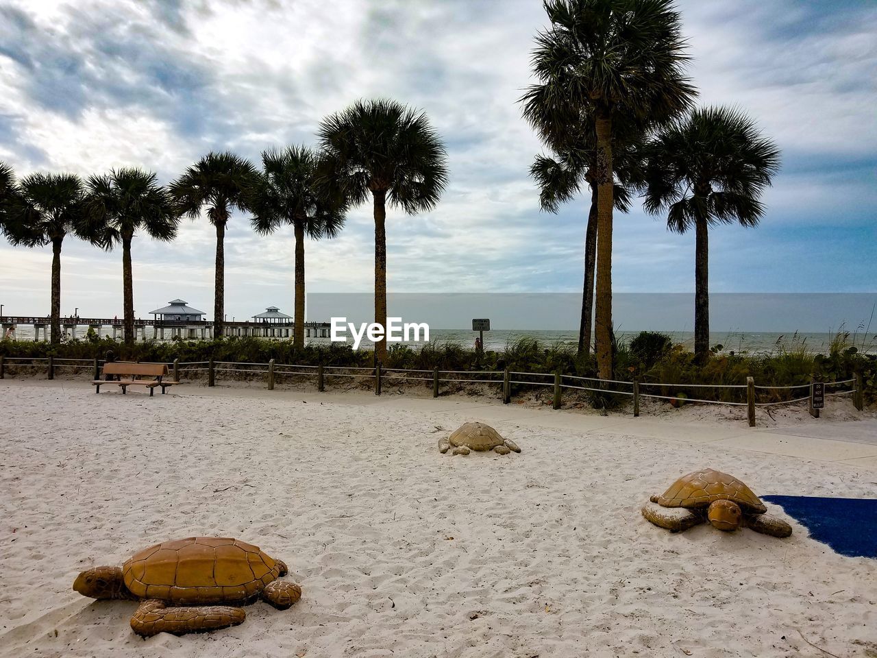 VIEW OF COCONUT PALM TREES ON BEACH