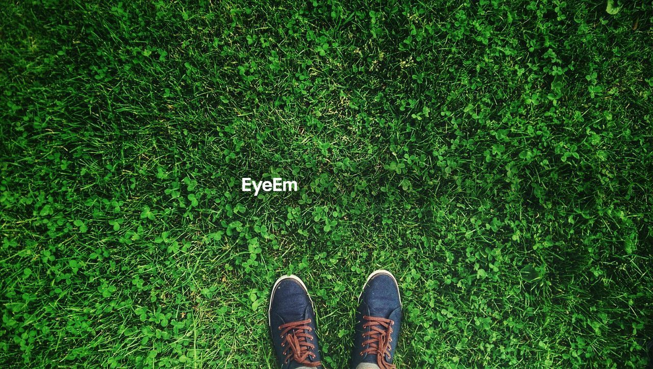 Low section of man standing on grass