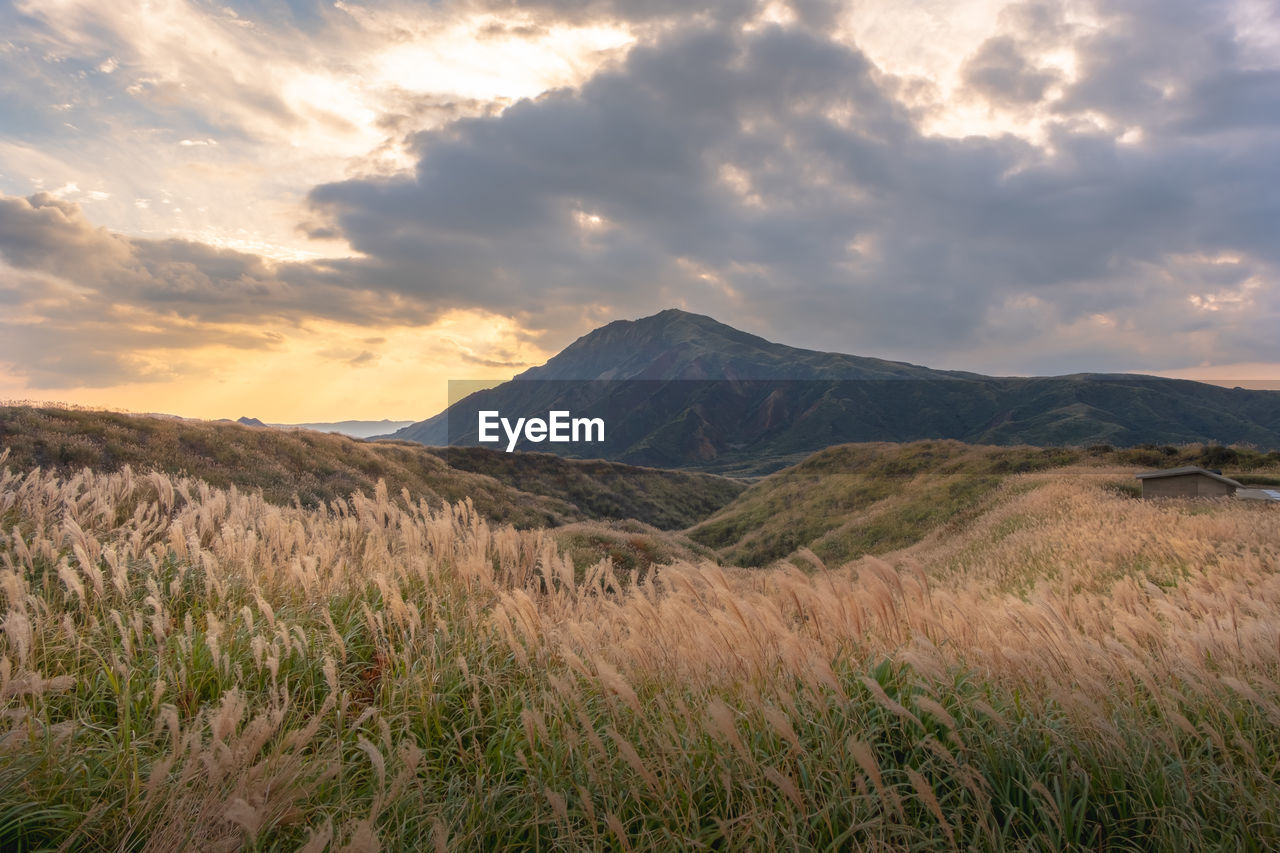 Scenic view of field against sky during sunset