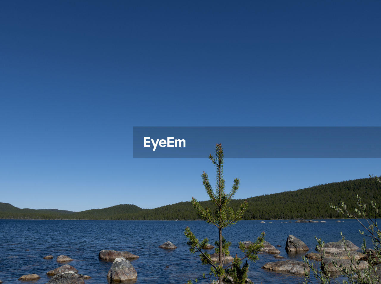 Scenic view of lake against clear blue sky