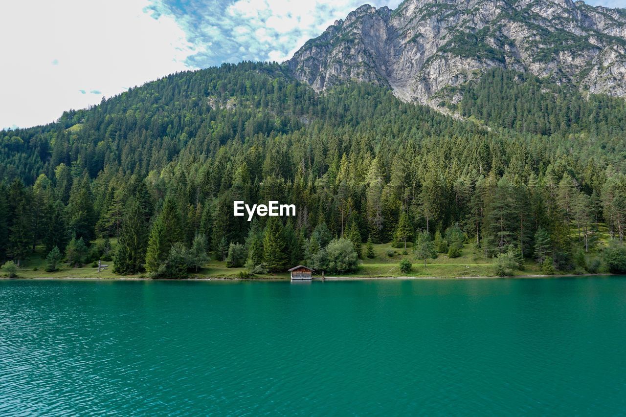 SCENIC VIEW OF LAKE AGAINST TREES AND MOUNTAINS