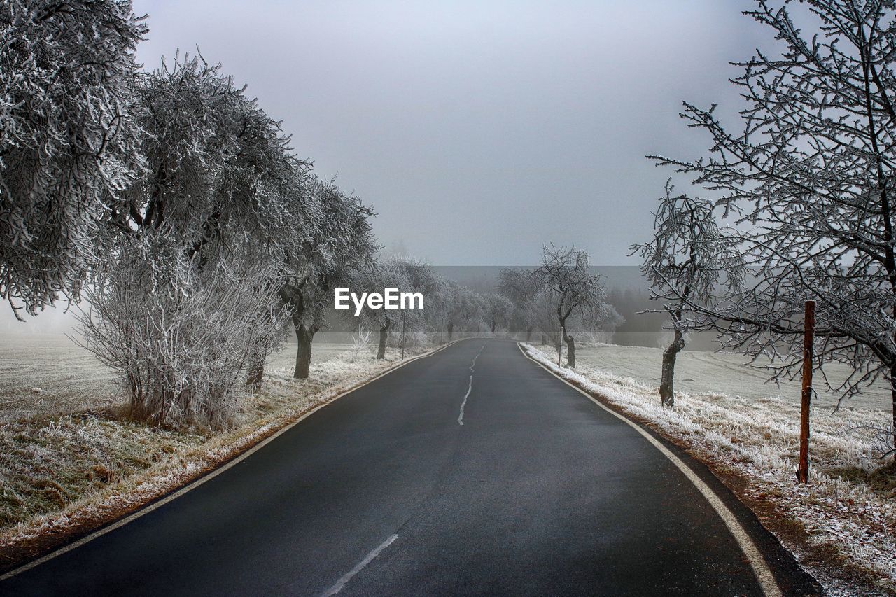 EMPTY ROAD ALONG TREES AGAINST SKY