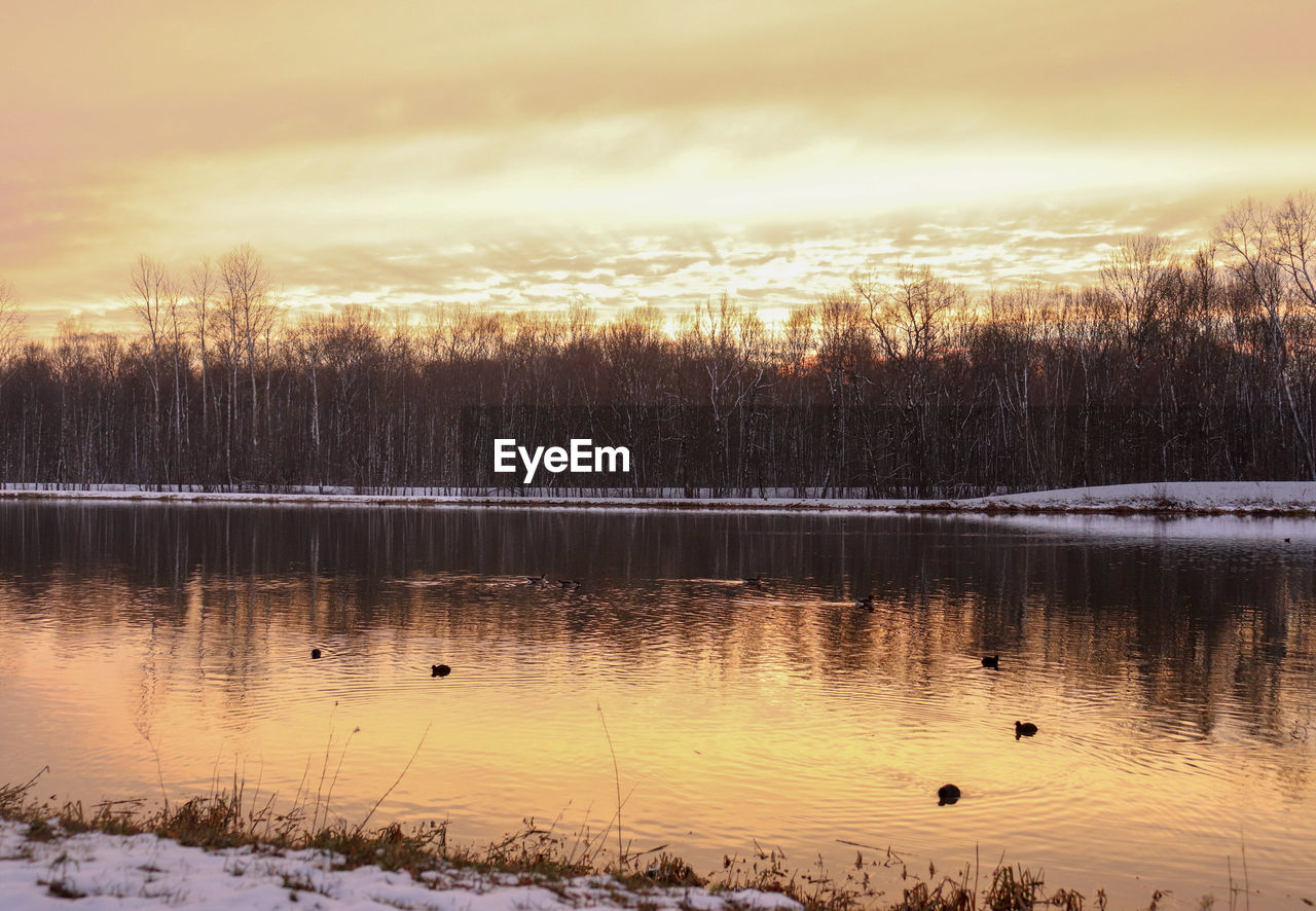 SCENIC VIEW OF LAKE DURING SUNSET