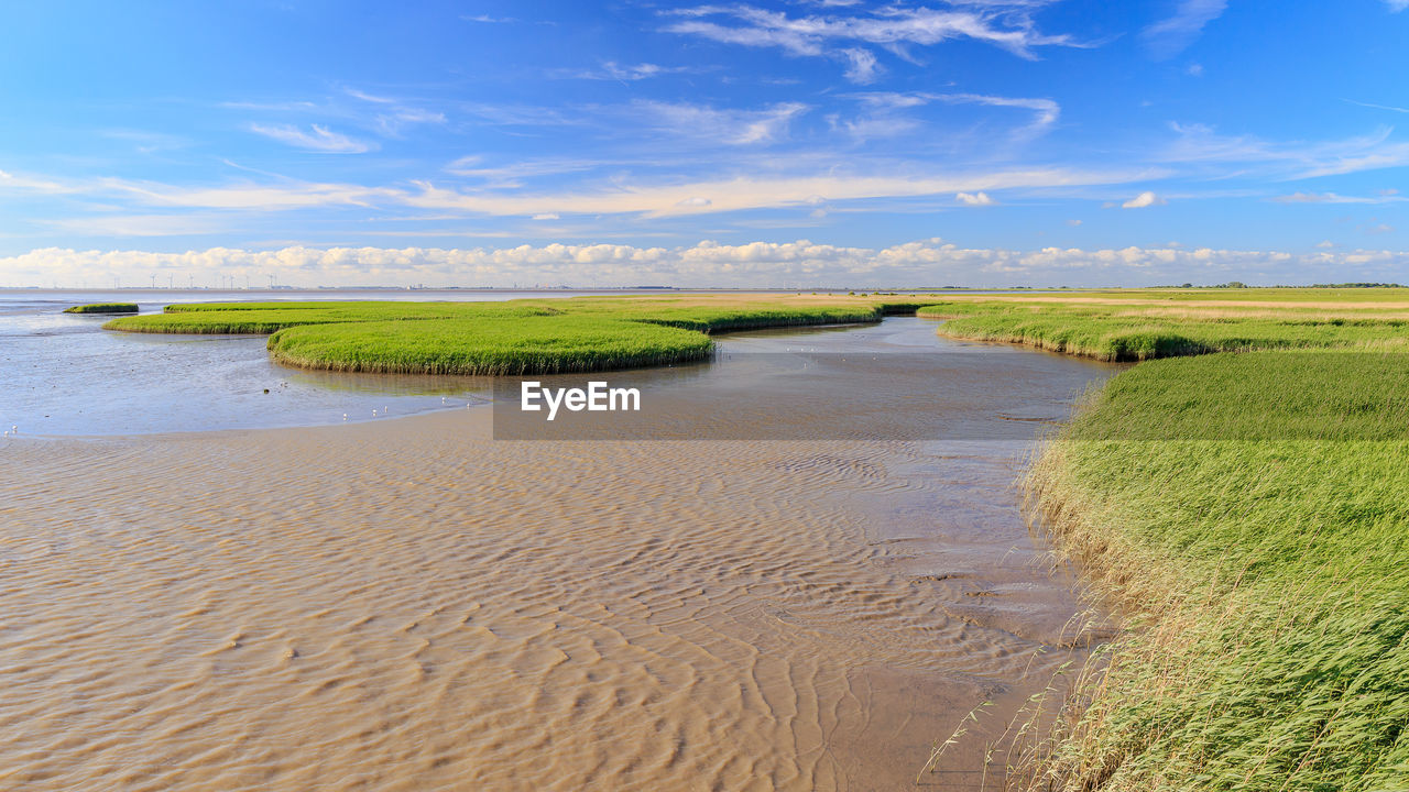 Scenic view of beach against sky