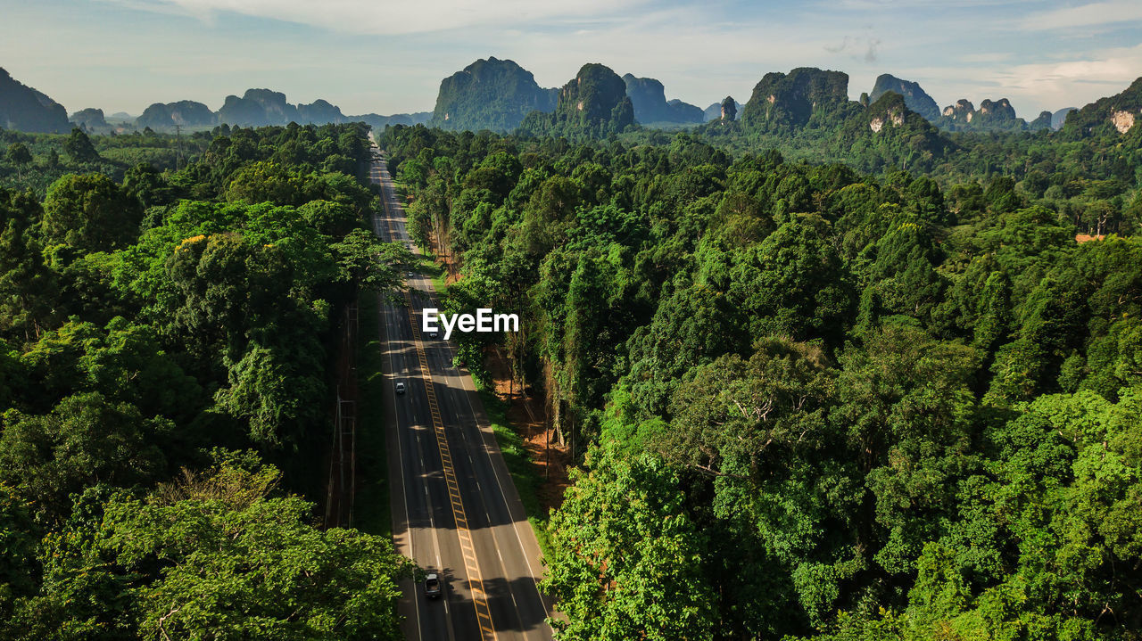 High angle view of plants growing on road against sky