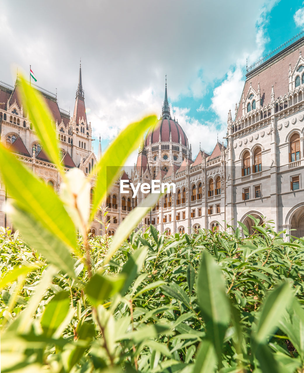 Plants against historic building in city