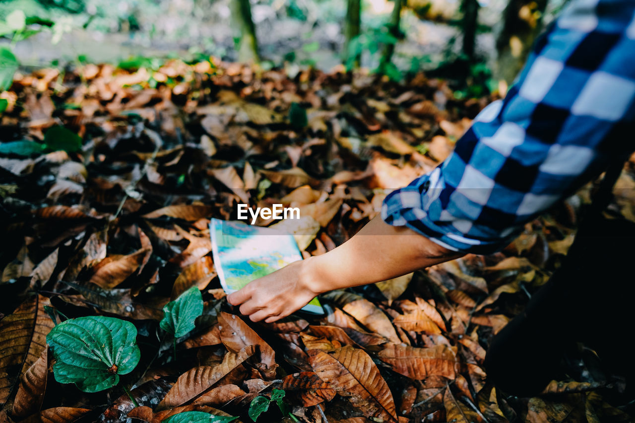 Cropped hand of woman putting map on dry leaves in forest