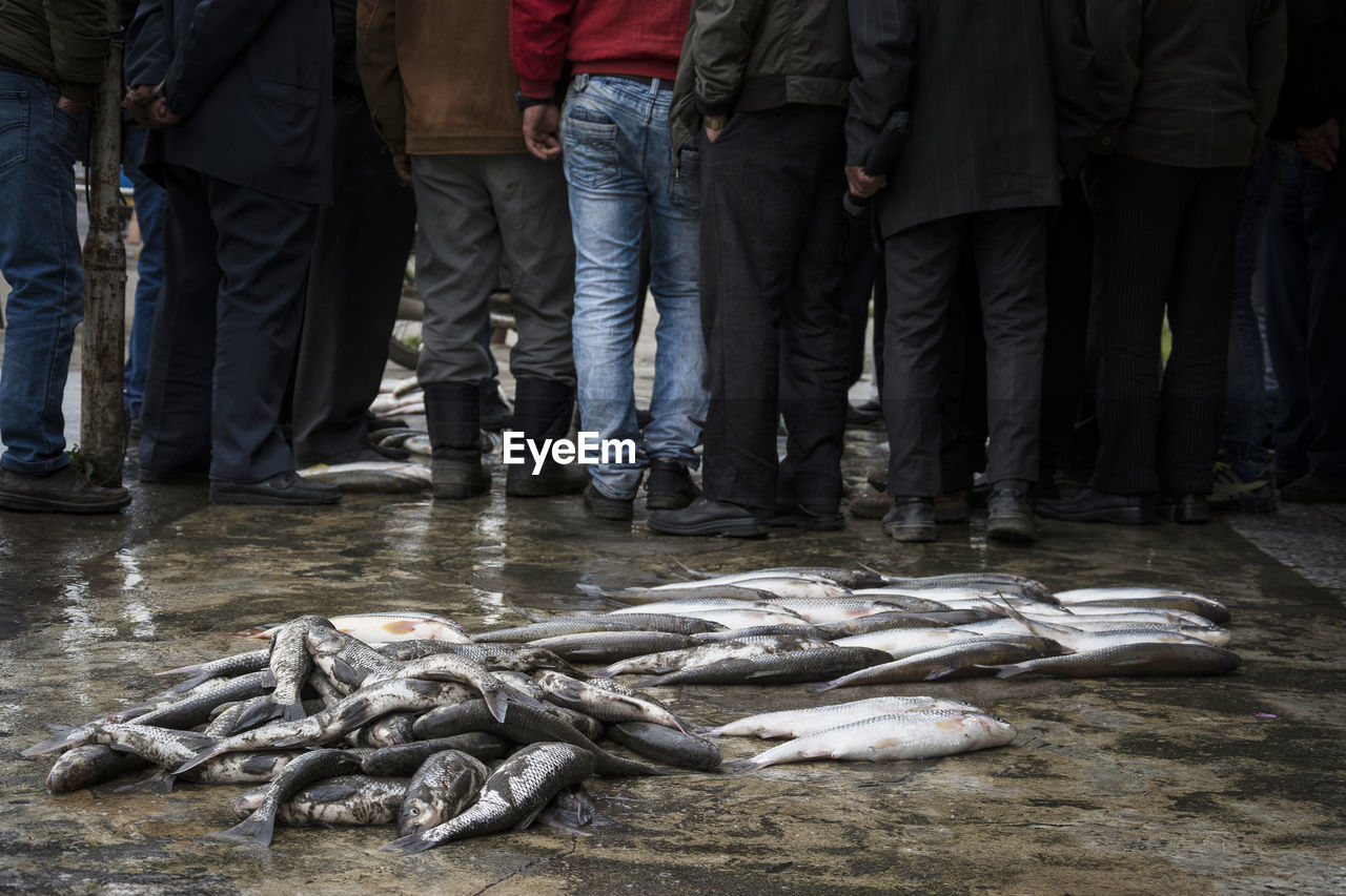 Catched fishes brought for sale at local bazaar and group of people gatherd and dealing fishes