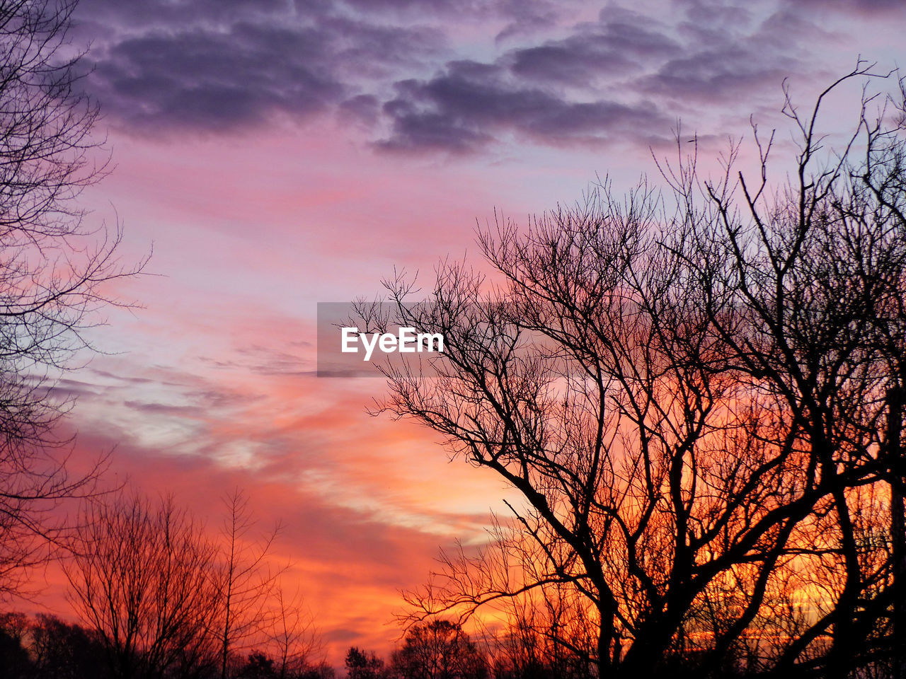 SILHOUETTE OF BARE TREES AGAINST CLOUDY SKY