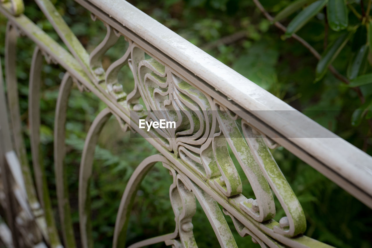 CLOSE-UP OF PLANT GROWING OUTDOORS