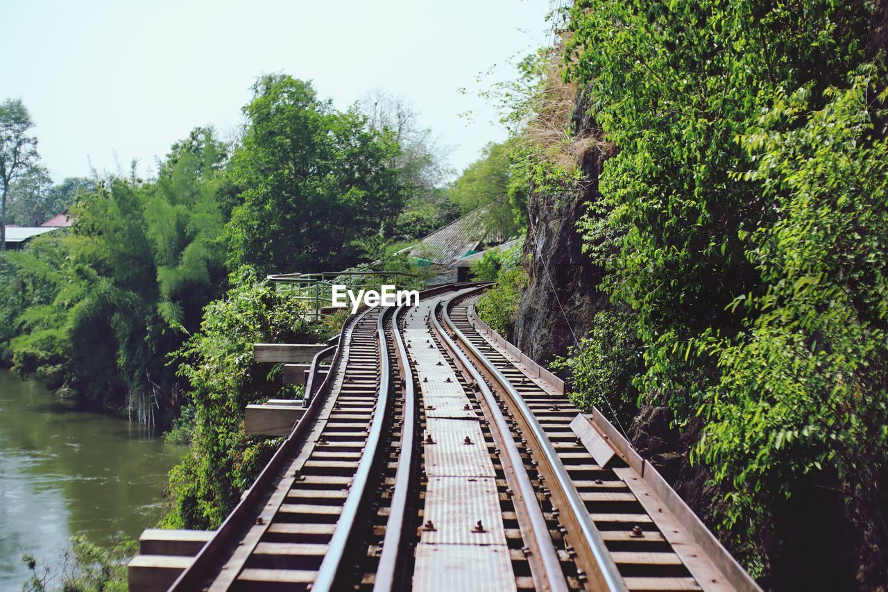 Railroad tracks amidst trees against sky