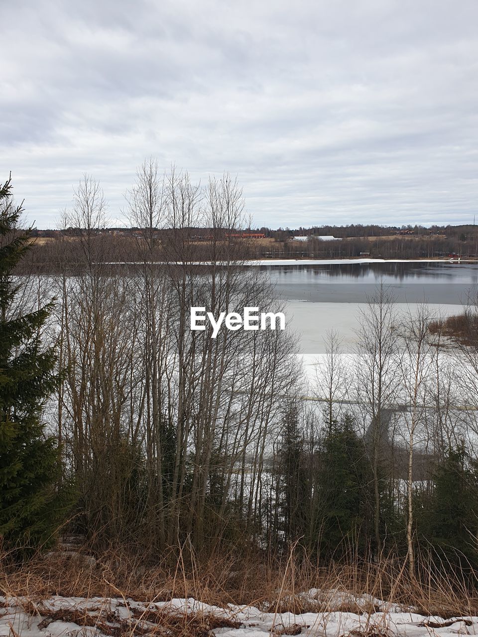 BARE TREES IN LAKE AGAINST SKY