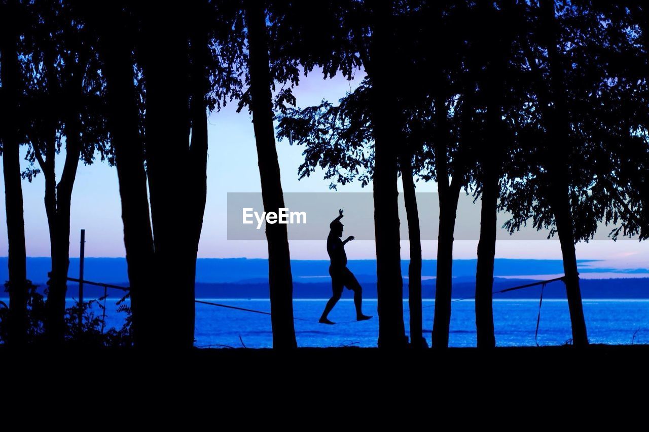 Silhouette of trees and man jumping against seascape