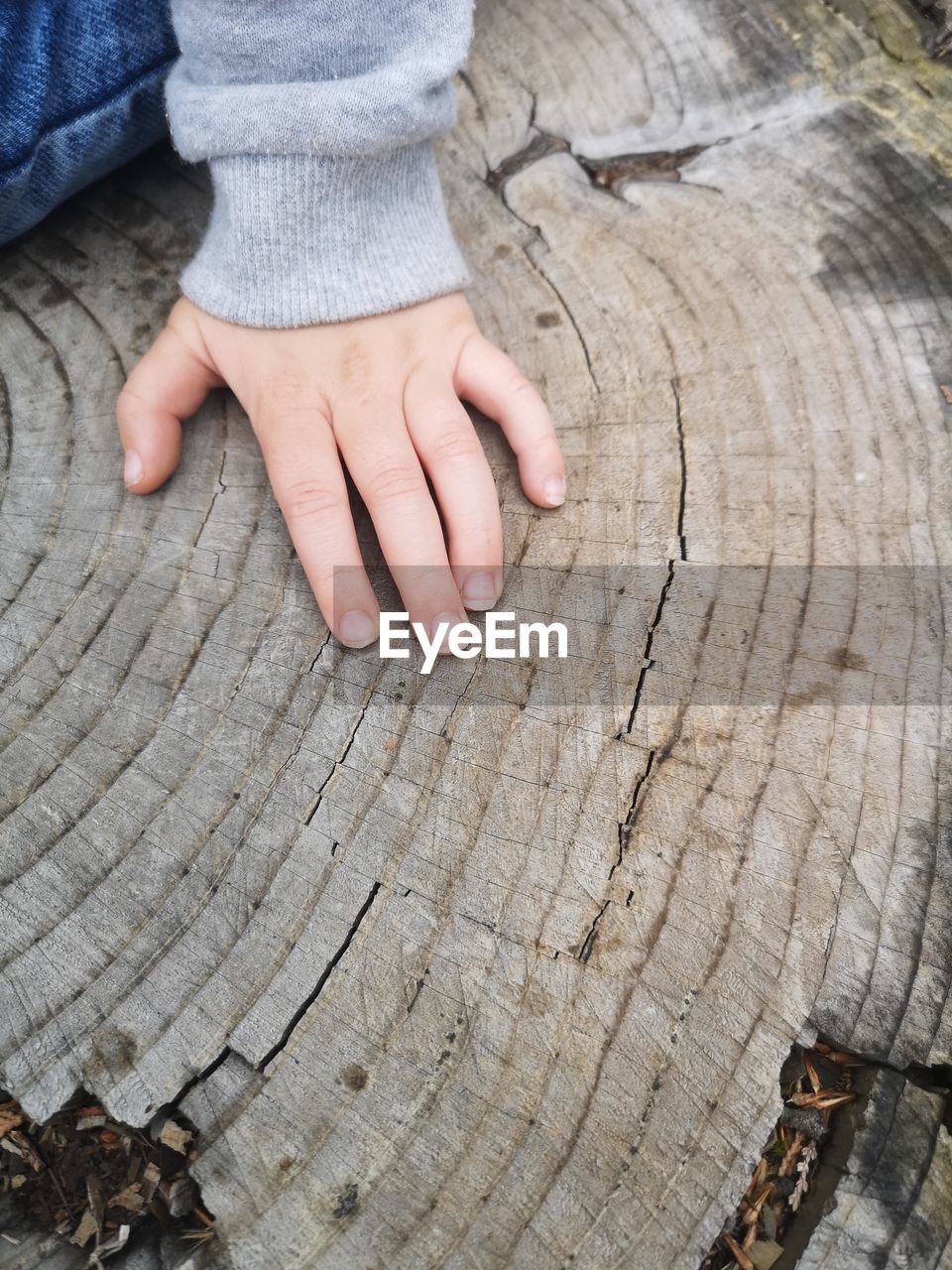 Midsection of person sitting on tree stump