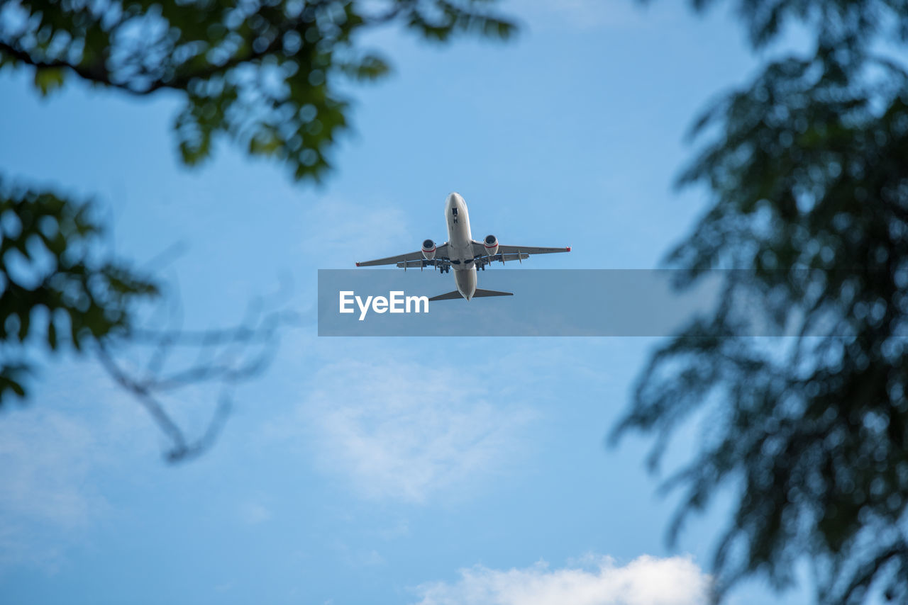 Low angle view of airplane flying against sky