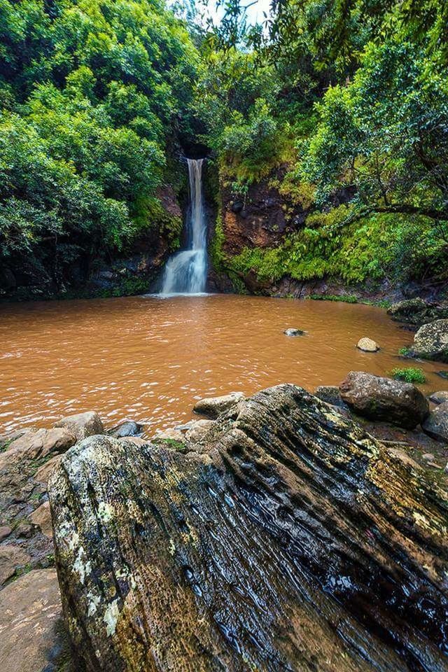 WATERFALL IN FOREST