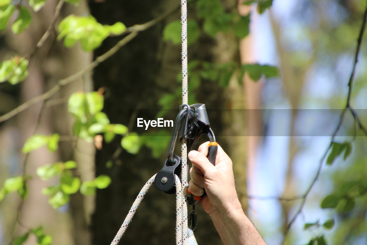 Cropped hand of man holding harness against trees