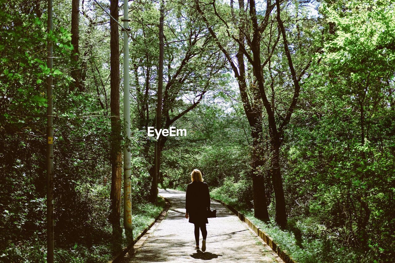 Rear view of woman walking amidst trees